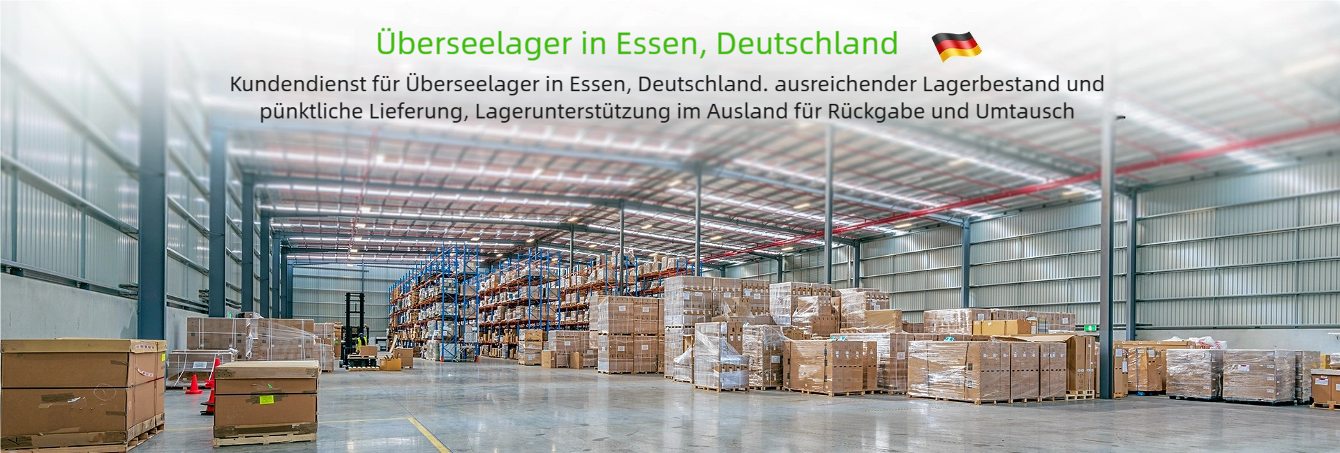 Lionshee Germany Local Warehouse