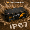 LIONSHEE BZ0003-LFP-300A 12,8V 300Ah 3840Wh IP67 LiFePO4 Lithium Akku
