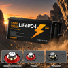 LIONSHEE BZ0003-LFP-300A 12,8V 300Ah 3840Wh IP67 LiFePO4 Lithium Akku