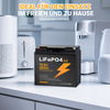 LIONSHEE BZ0037-LFPTS-30A 12,8V 30Ah 384Wh IP67 LiFePO4 Lithium Akku