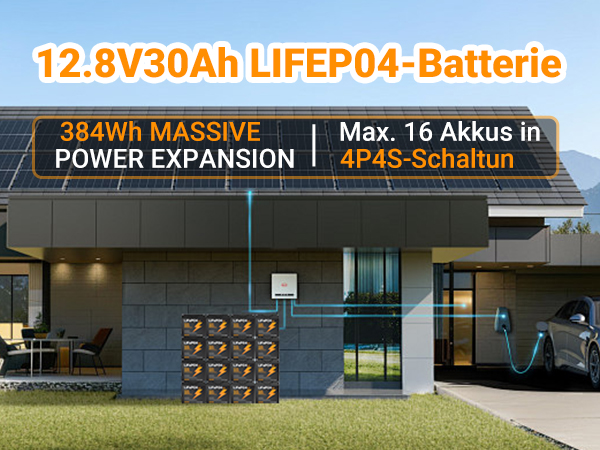 LiFePO4 12V 30Ah Mob 08.jpg
