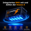LIONSHEE BZ0003-LFP-300A 12,8V 300Ah 3840Wh IP67 LiFePO4 Lithium Akku