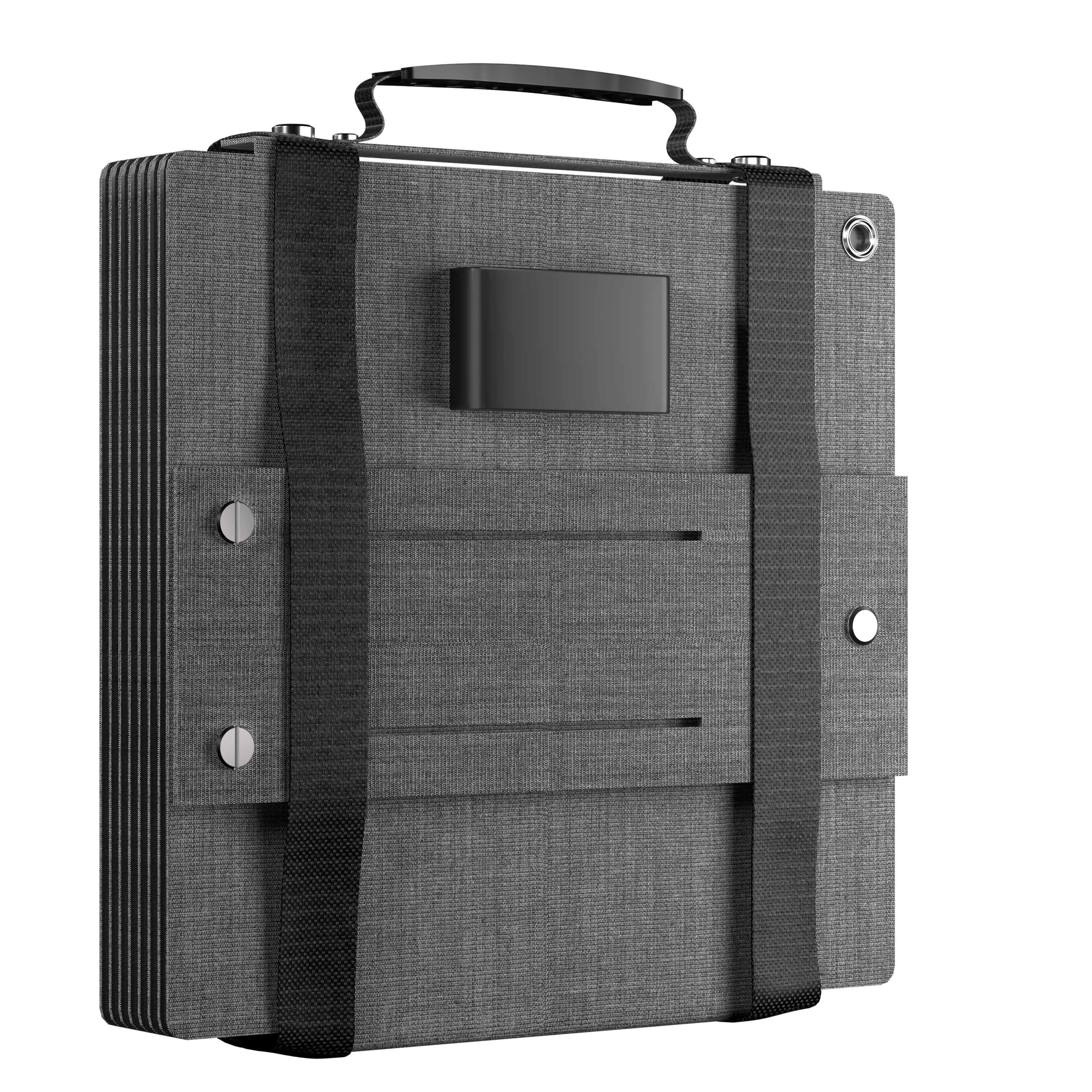 LIONSHEE LS-SP60F 60W faltbares Solarpanel