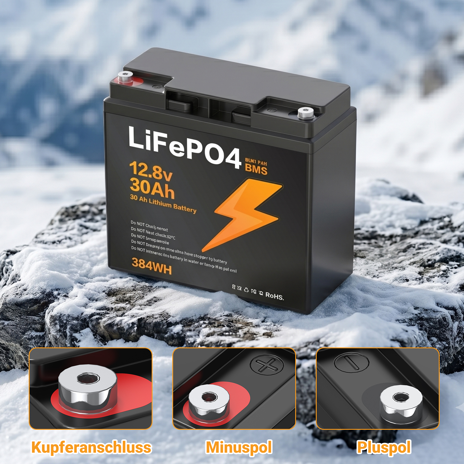 LIONSHEE BZ0037-LFPTS-30A 12,8V 30Ah 384Wh IP67 LiFePO4 Lithium Akku