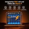 LIONSHEE 12,8V 100Ah LiFePO4 Akku mit BMS, 1280Wh, IP67 und bis zu 15.000 Zyklen