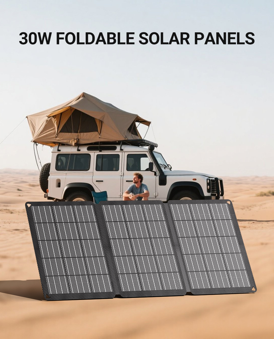 LIONSHEE LS-SP30F 30W faltbares Solarpanel